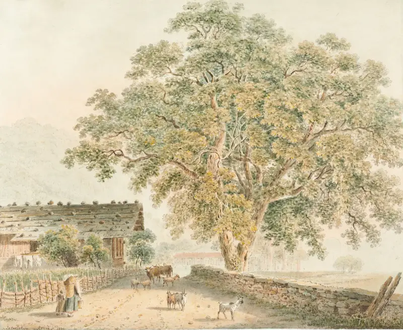 Interlaken, Franz Niklaus König