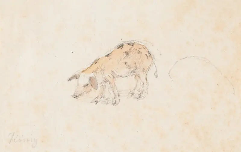 Studie av en grisunge av Franz Niklaus König