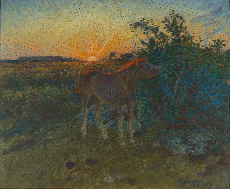 Fohlen von Nils Kreuger