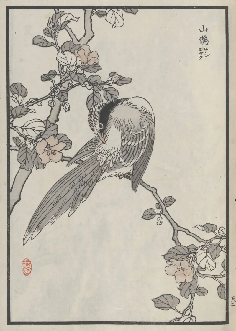Bairei hyakuchō gafu. Ten Pl.03 av Kōno Bairei