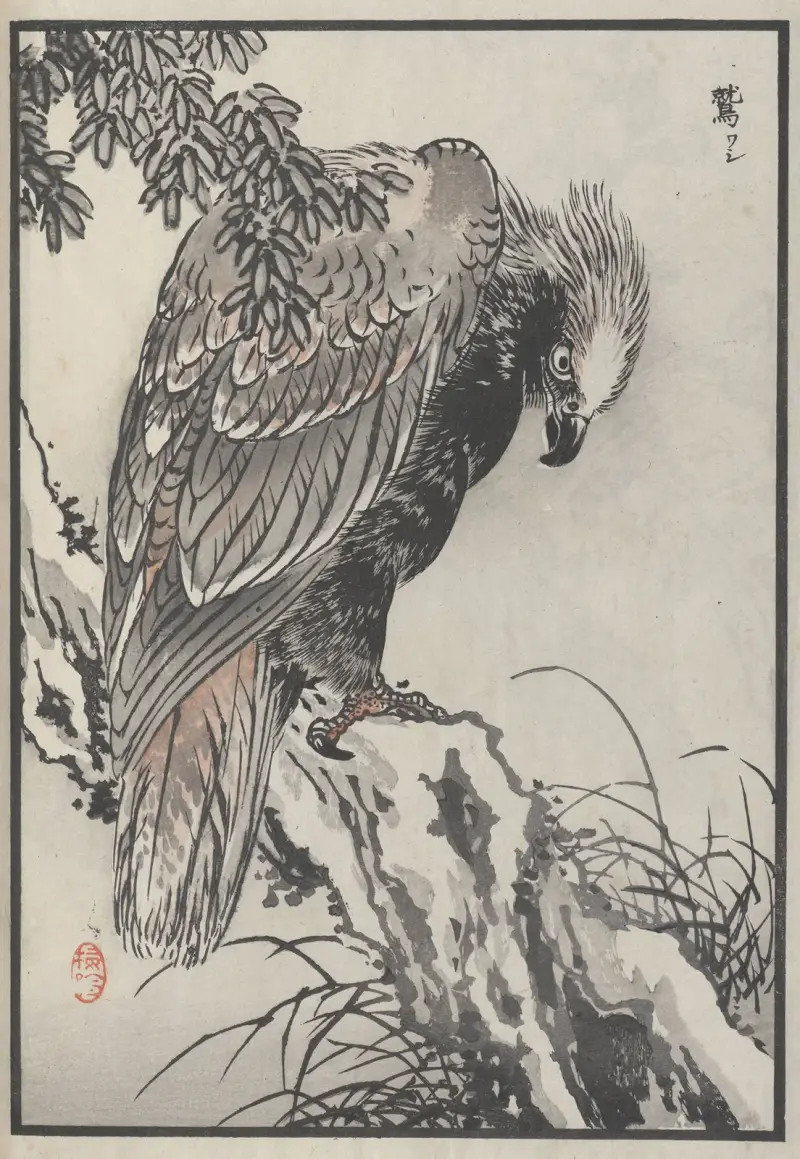 Bairei hyakuchō gafu. Ten, plansch 4 av Kōno Bairei