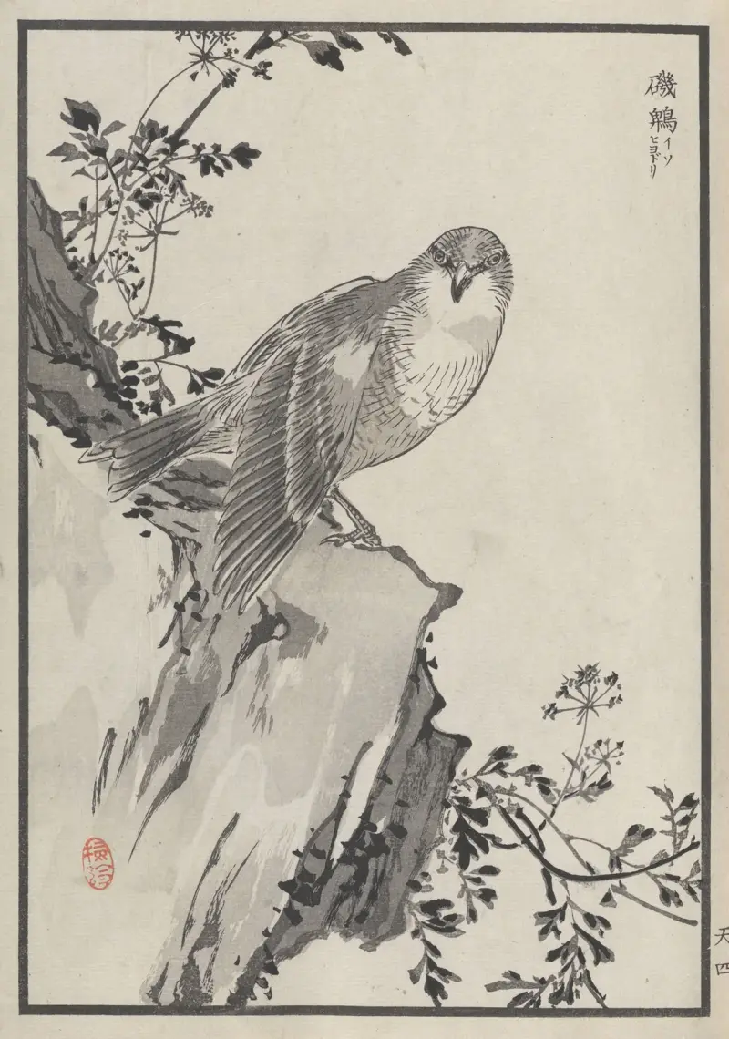 Bairei hyakuchō gafu. Ten Pl.07 av Kōno Bairei
