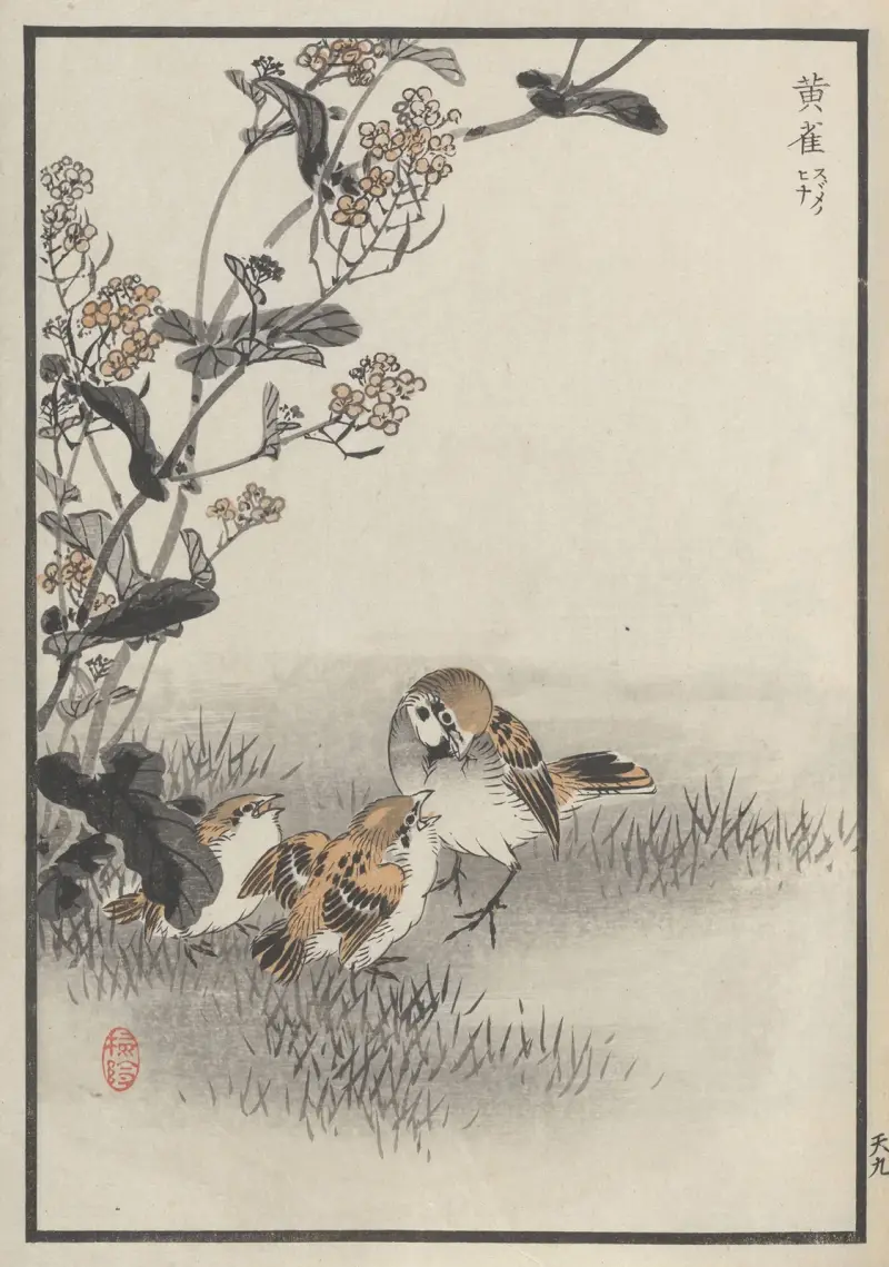 Bairei hyakuchō gafu. Ten Pl.17 av Kōno Bairei