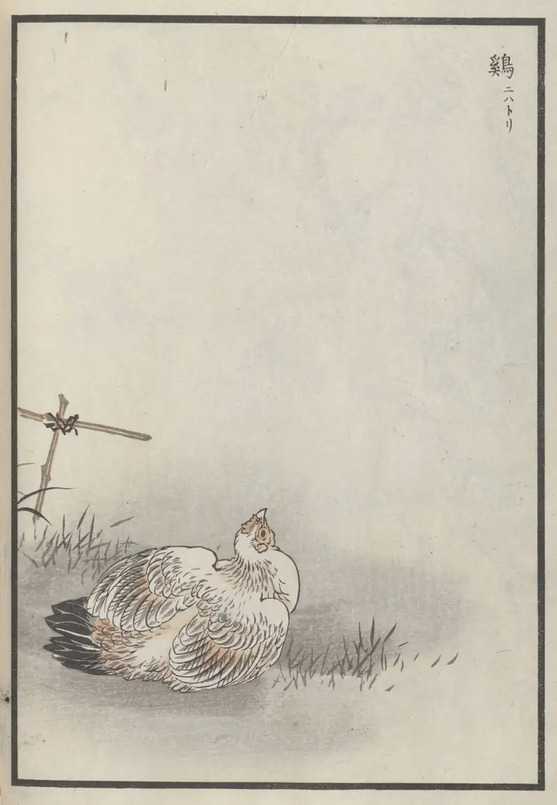 Bairei hyakuchō gafu. Ten Pl.20 av Kōno Bairei