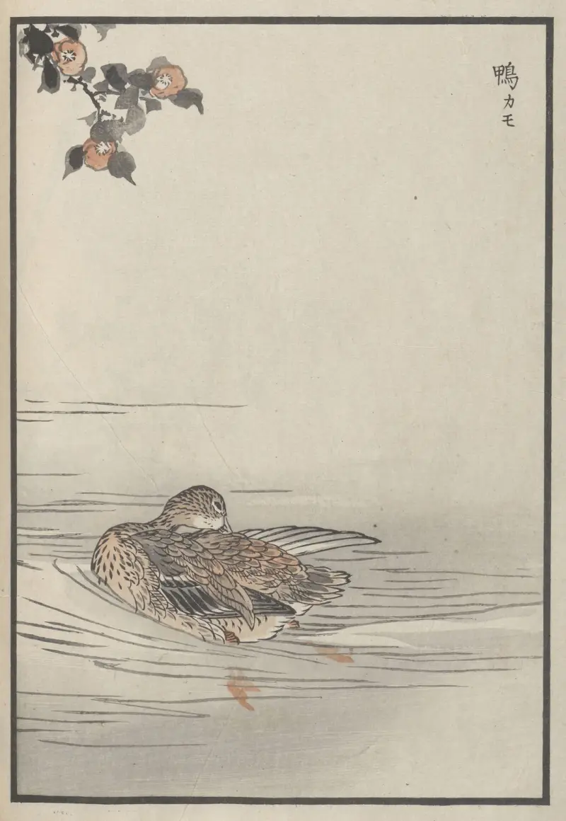 Bairei hyakuchō gafu. Ten Pl.24 av Kōno Bairei
