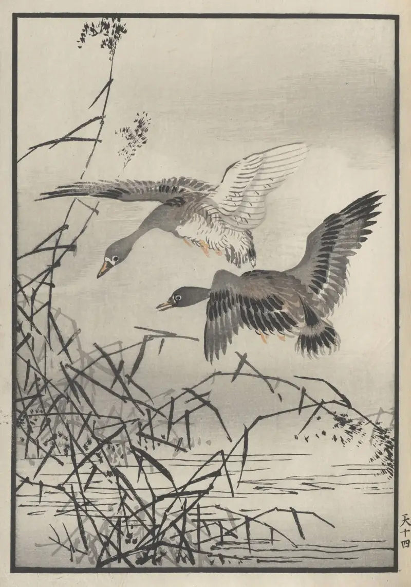Bairei hyakuchō gafu. Ten Pl.27 av Kōno Bairei