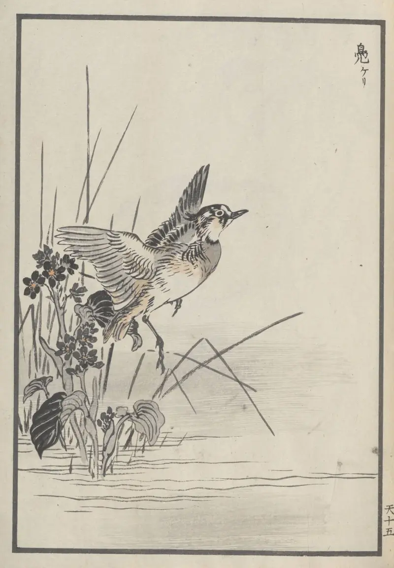 Bairei hyakuchō gafu. Ten Pl.29 av Kōno Bairei
