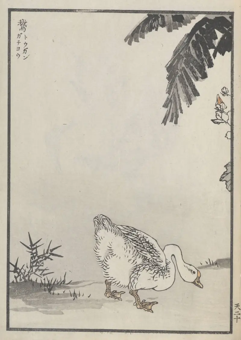 Bairei hyakuchō gafu. Ten Pl.39 av Kōno Bairei