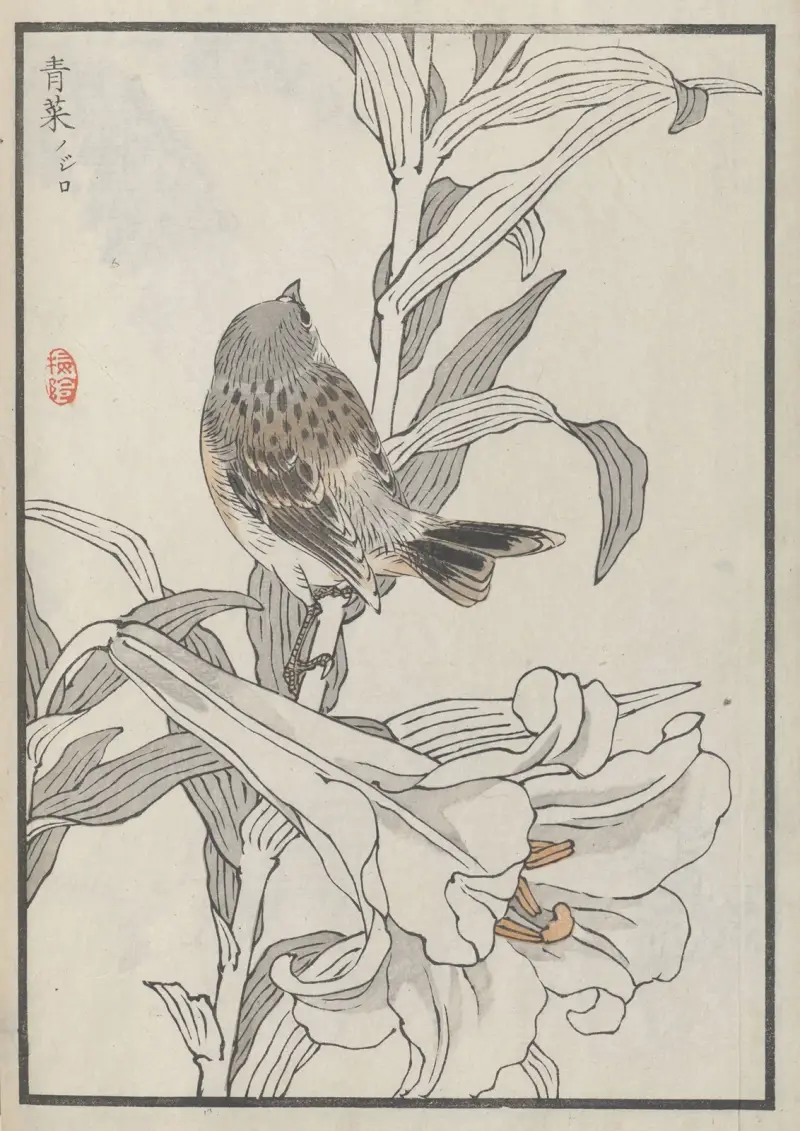 Bairei hyakuchō gafu. Ten Pl.40 av Kōno Bairei