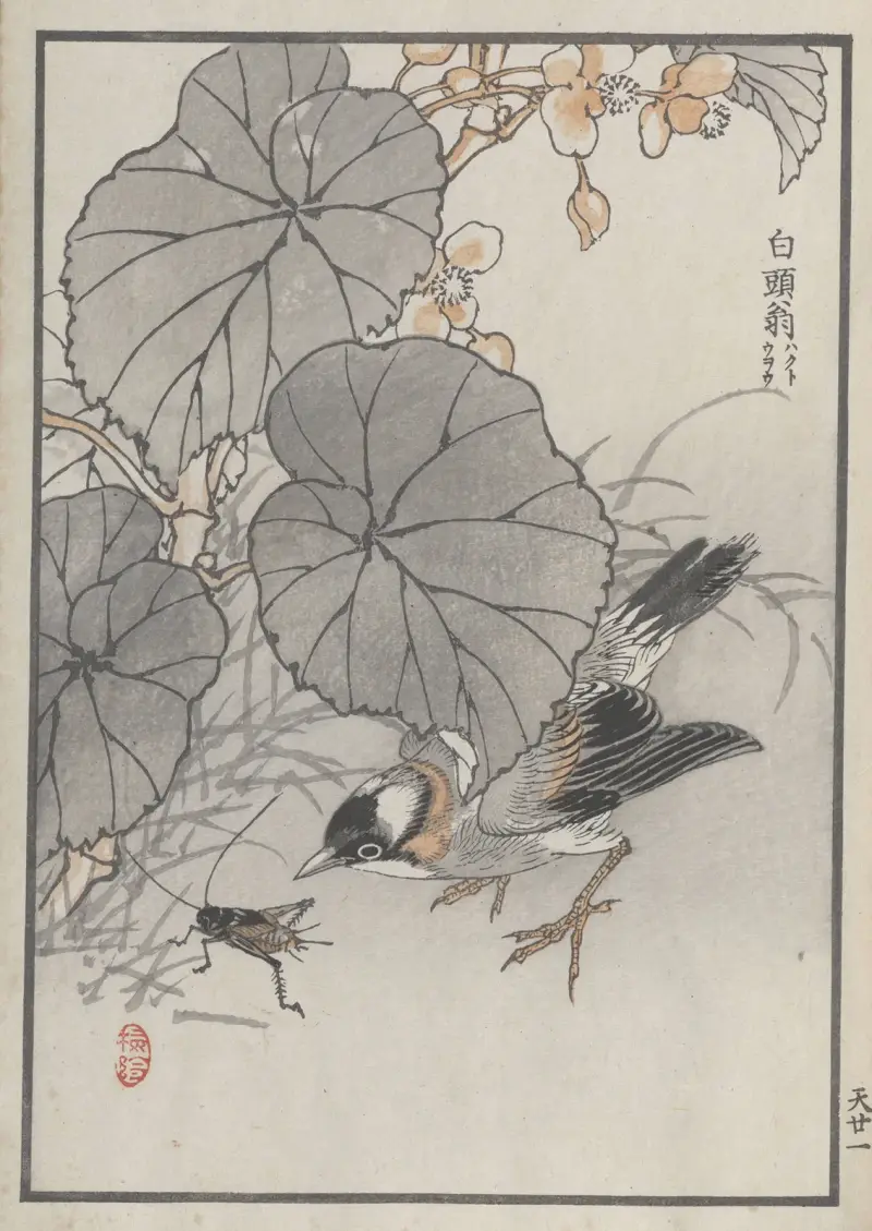 Bairei hyakuchō gafu. Ten Pl.41 av Kōno Bairei