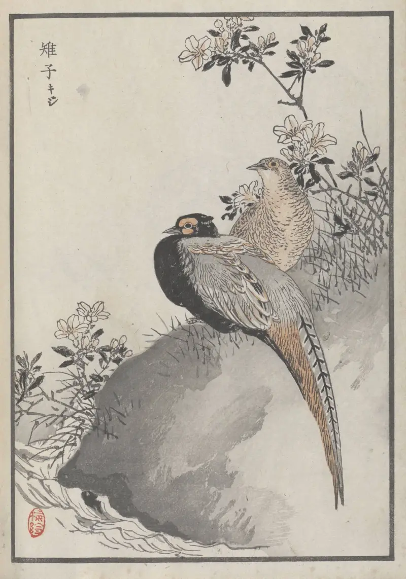 Bairei hyakuchō gafu. Ten Pl.42 von Kōno Bairei