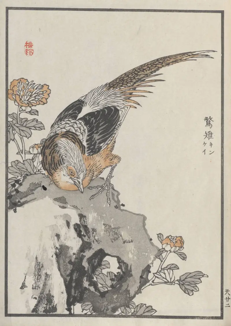 Bairei hyakuchō gafu. Ten Pl.43 von Kōno Bairei