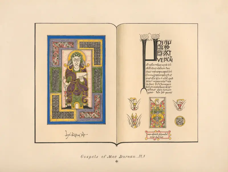 The Gospels of MacDurnan I av John Obadiah Westwood