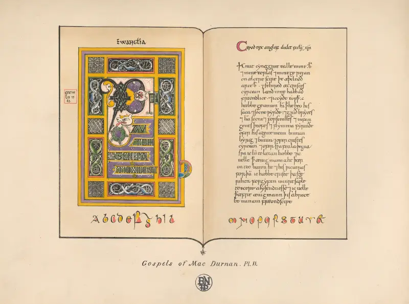 Ewangelie z MacDurnan II, John Obadiah Westwood