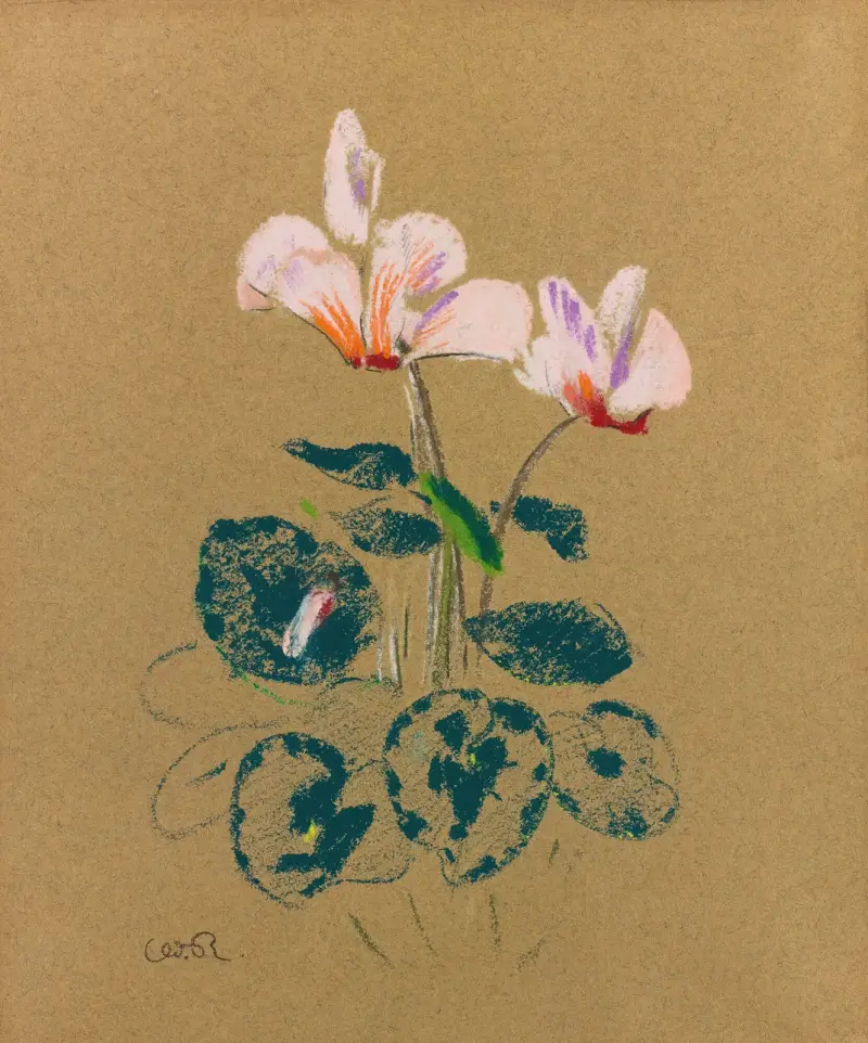 Cyclamen, Odilon Redon