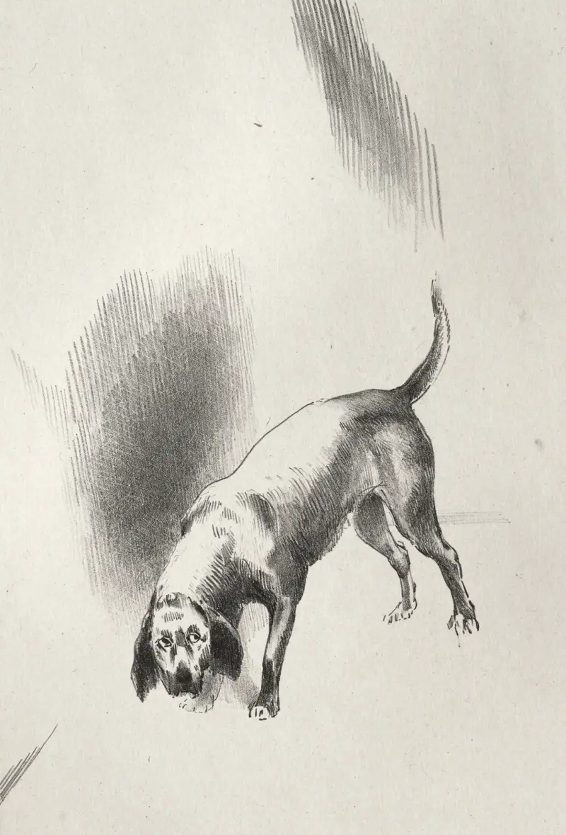 The Haunted House: He Kept His Eyes Fixed on Me with a Look so Strange av Odilon Redon