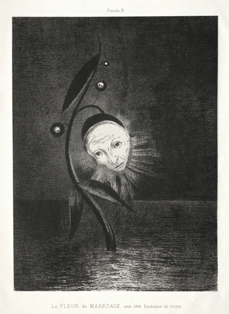 The Marsh Flower, a Sad Human Head av Odilon Redon