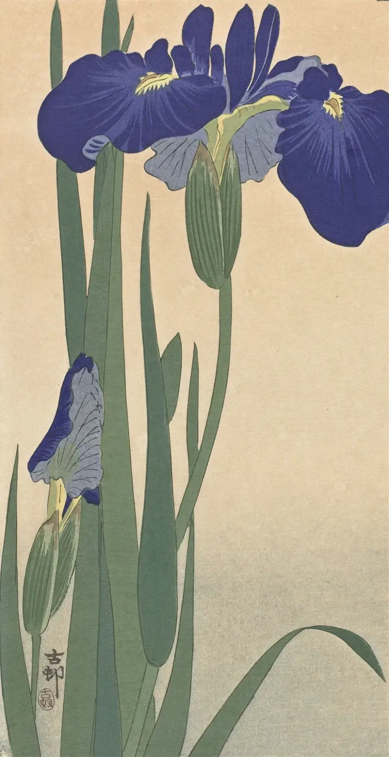 Modré kosatce, Ohara Koson