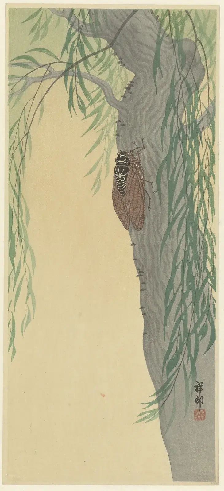 Cikáda na stromě, Ohara Koson