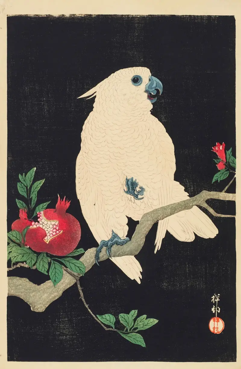 Kakadu a granátové jablko – č. 1, Ohara Koson