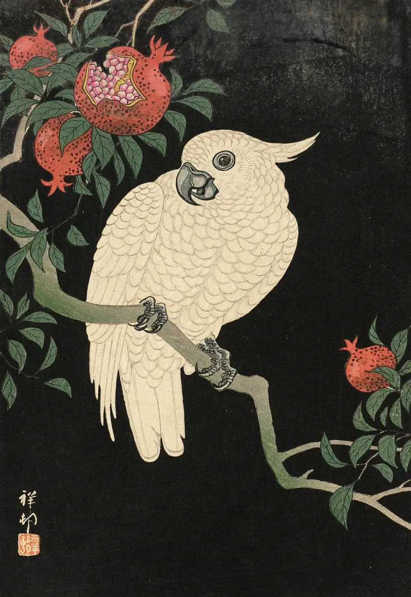 Kakadua och granatäpple av Ohara Koson
