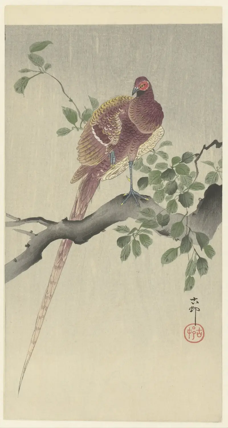 Měděný bažant, Ohara Koson