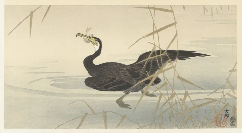 Kormorán s rybou, Ohara Koson