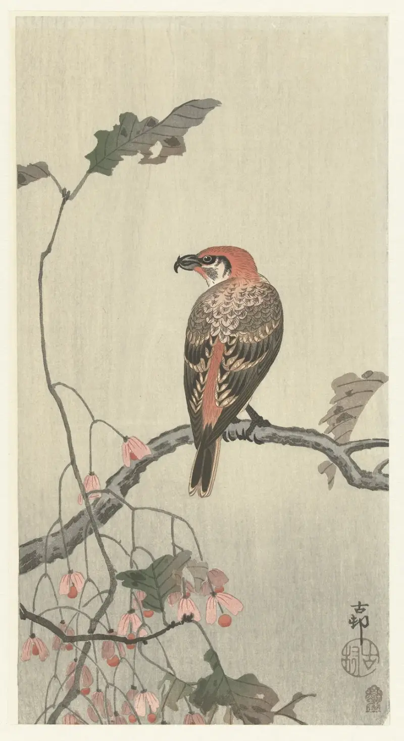 Kreuzschnabel auf Ast von Ohara Koson