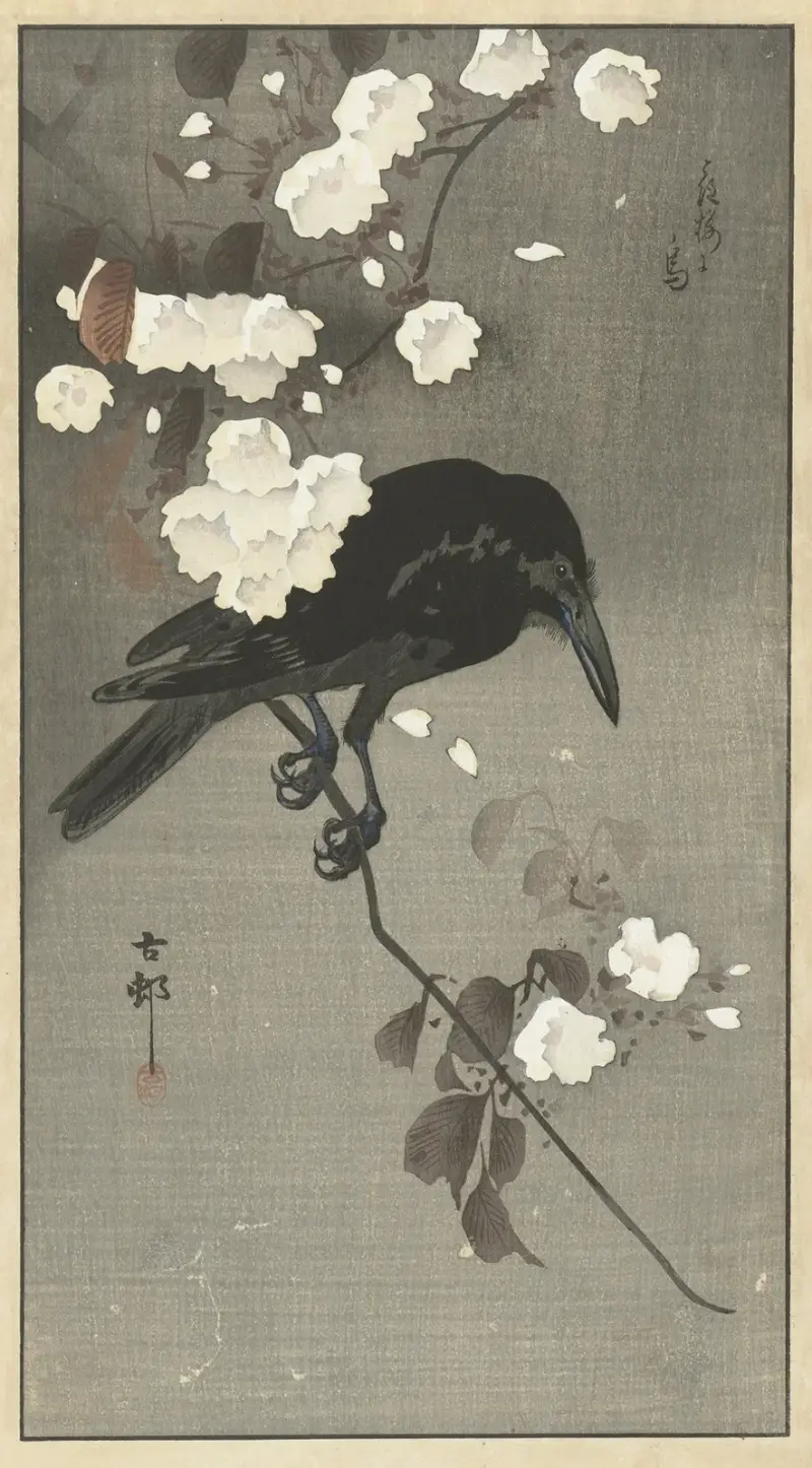 Vråna s třešňovým květem, Ohara Koson
