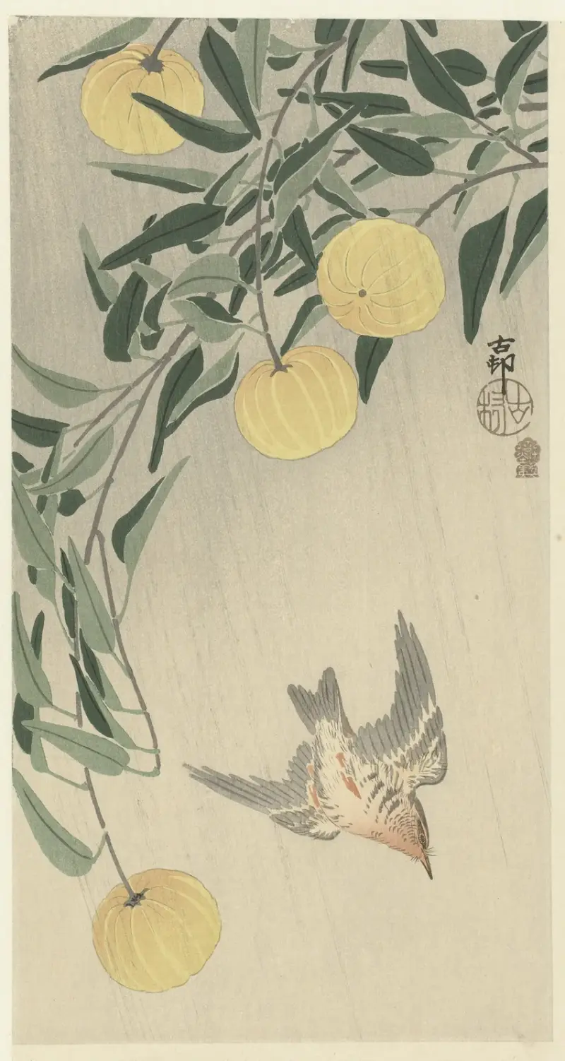 Kuckuck im Regen von Ohara Koson