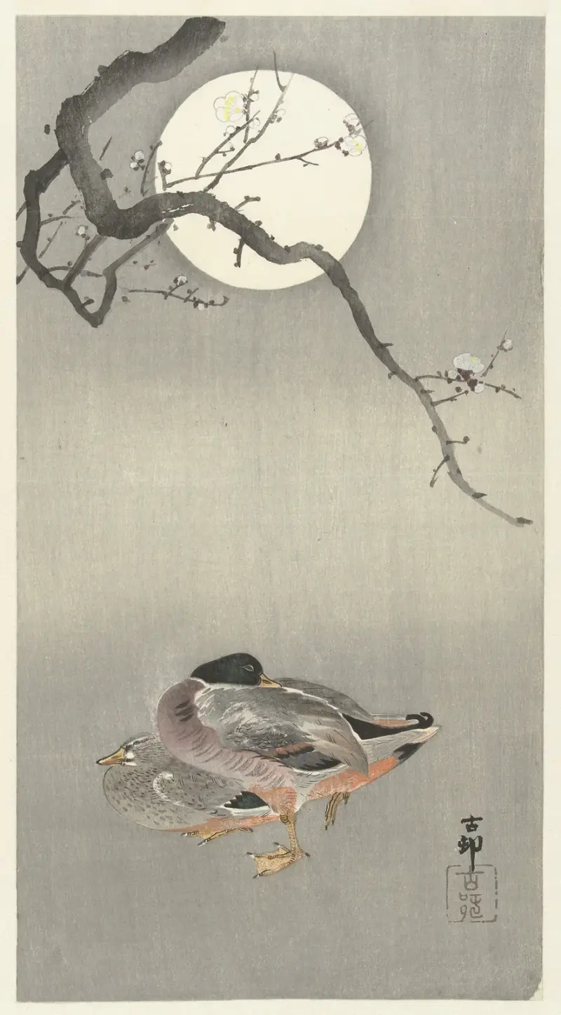 Kachny při úplňku, Ohara Koson