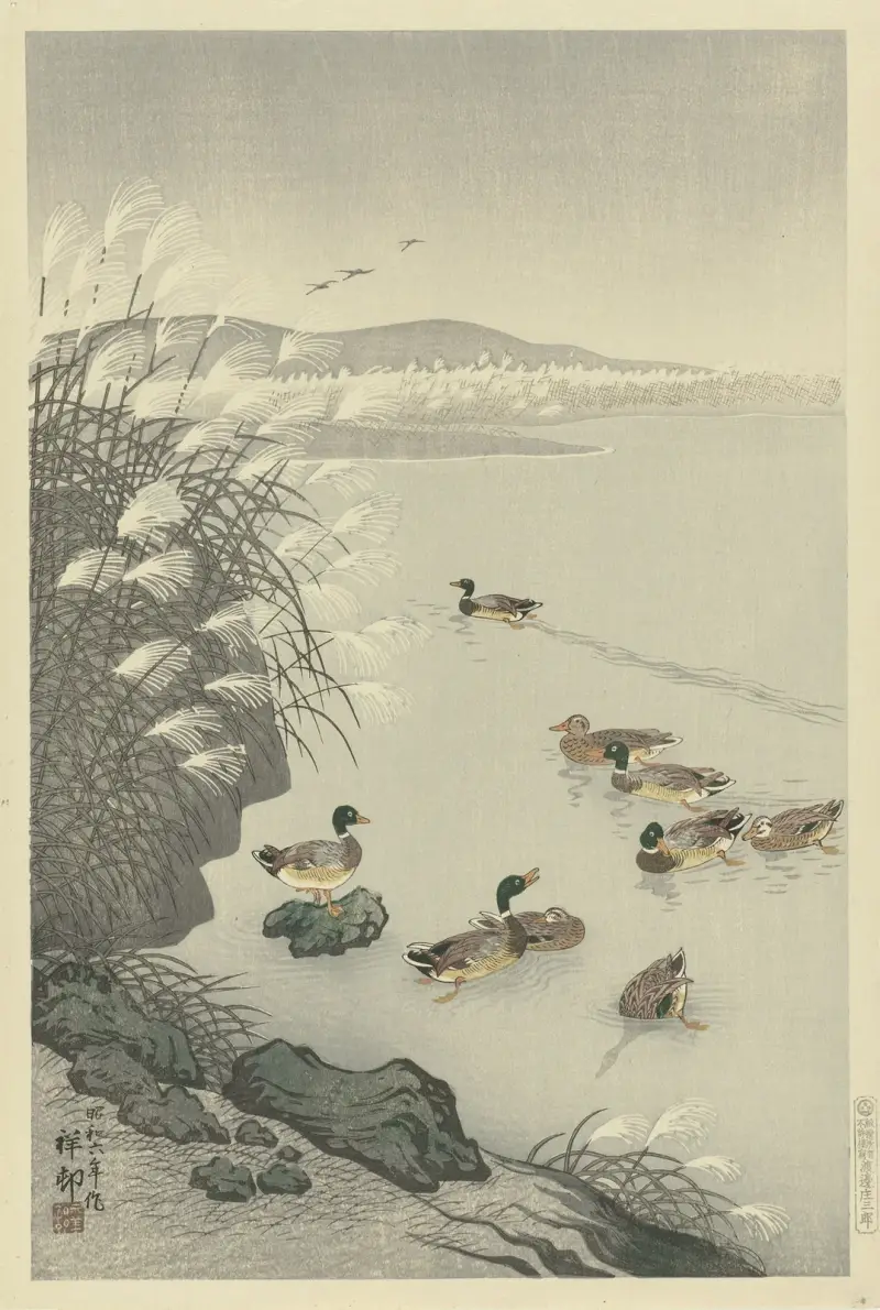 Enten im Wasser von Ohara Koson
