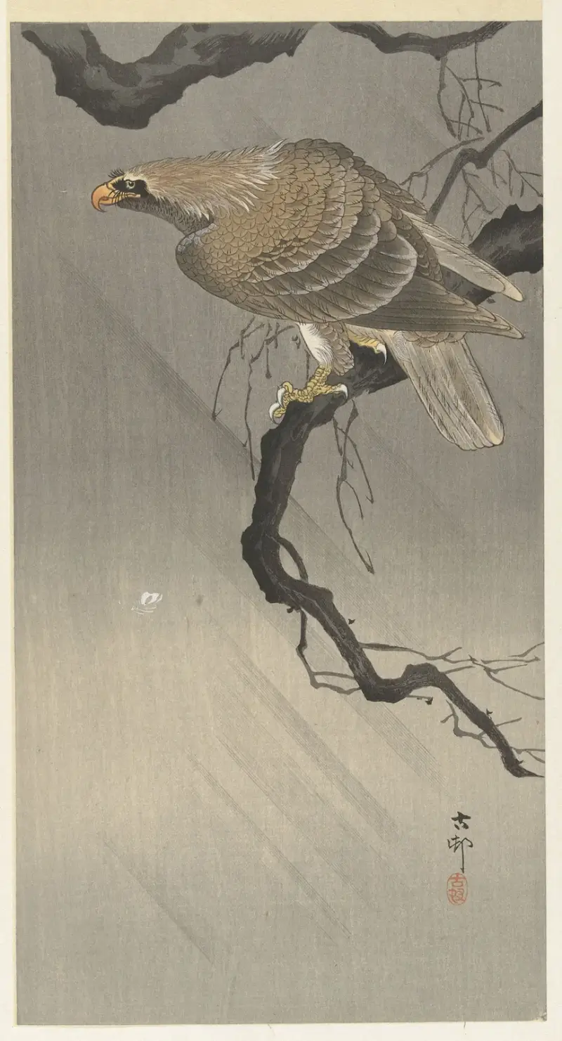 Orzeł na gałęzi, Ohara Koson