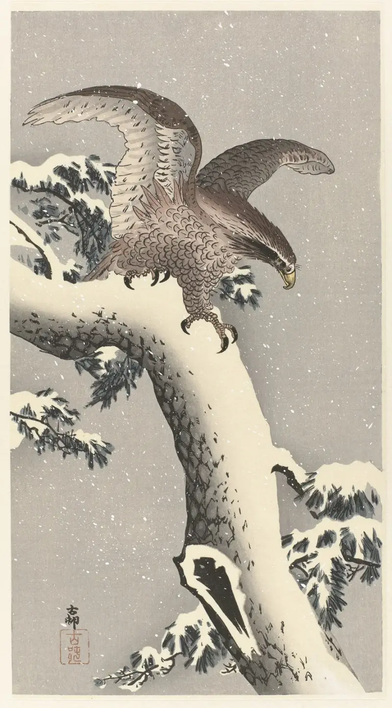 Orel na zasněžené borovici, Ohara Koson