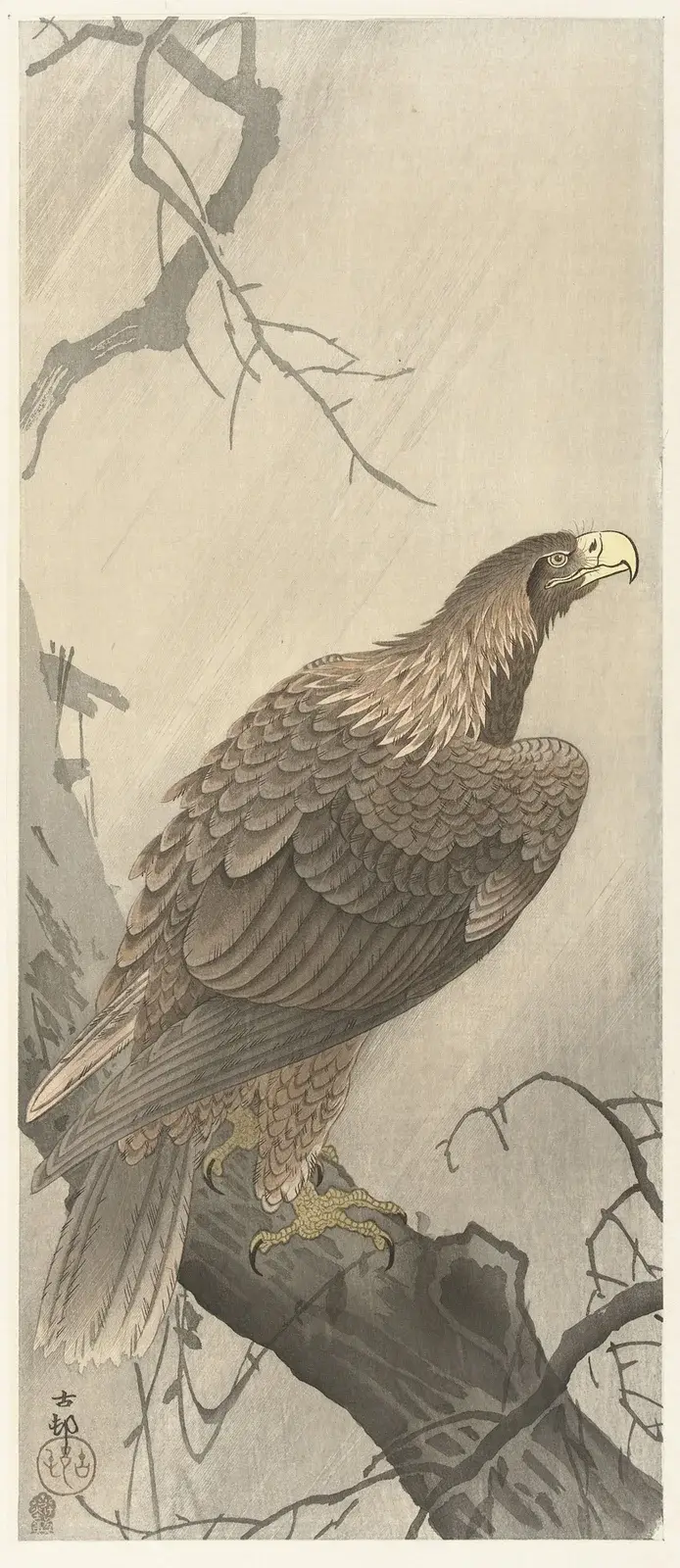 Orel na větvi stromu, Ohara Koson