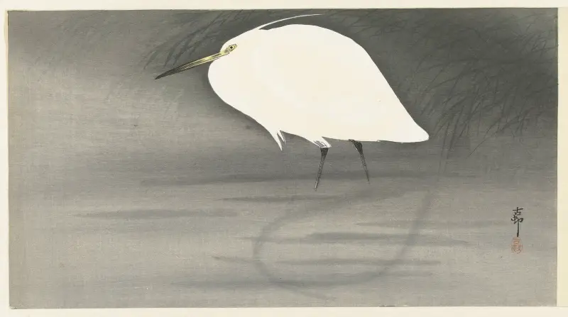 Volavka, Ohara Koson