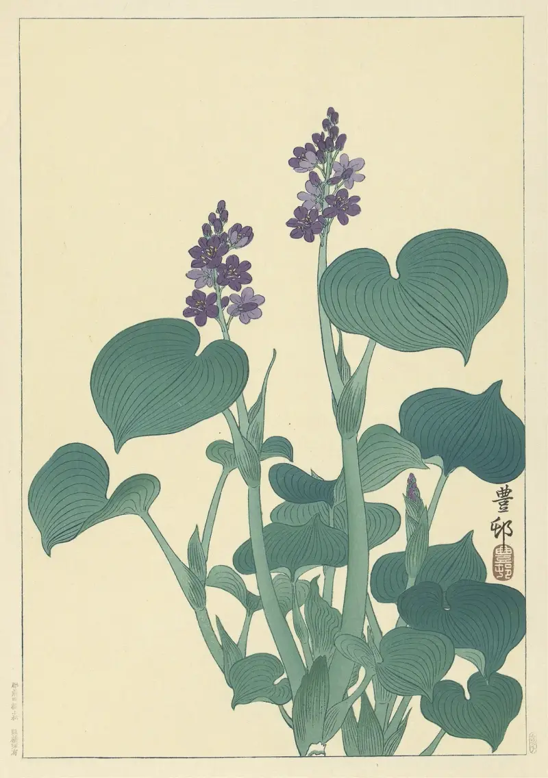Kvetoucí hosta, Ohara Koson