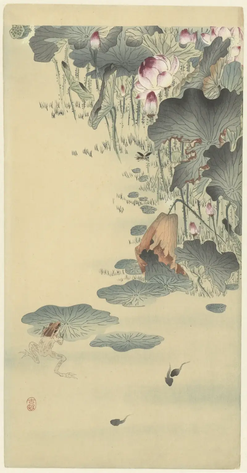 Frosch und Kaulquappen von Ohara Koson