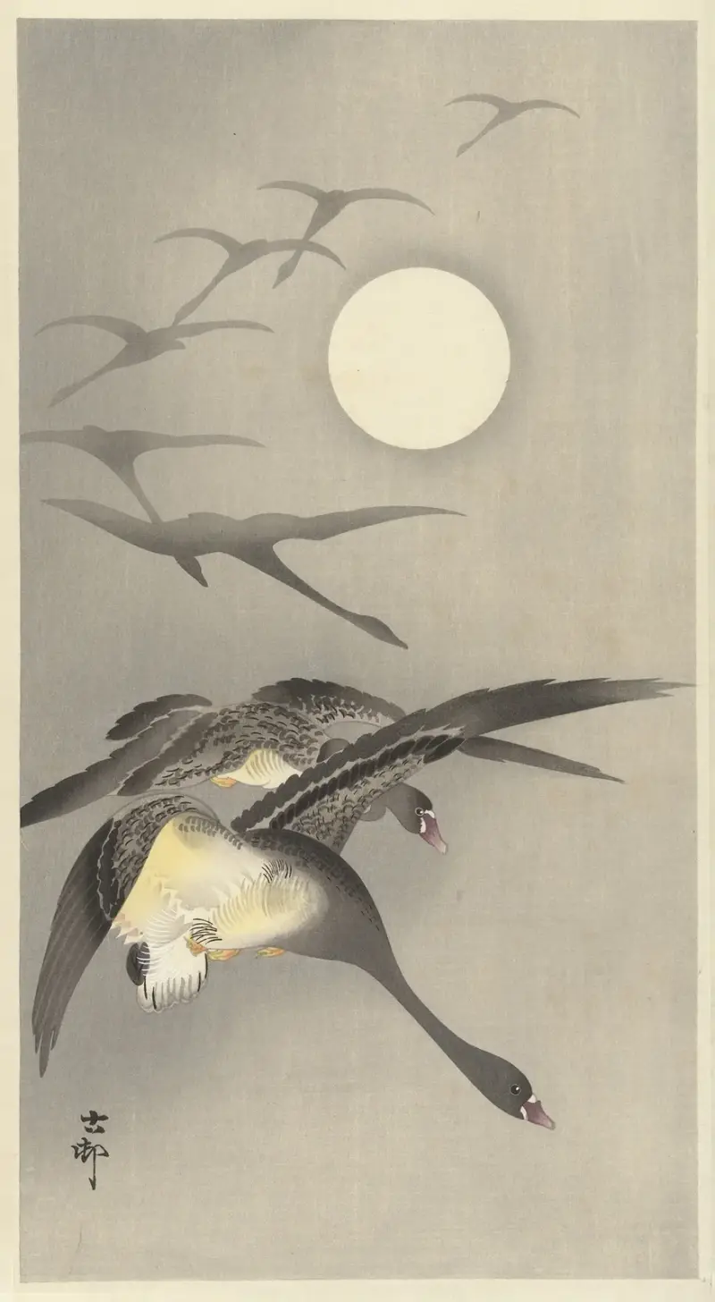 Gäss vid fullmåne av Ohara Koson