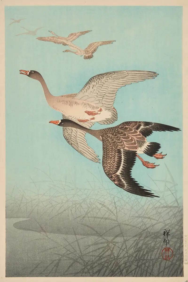 Husy letící nad rákosím, Ohara Koson