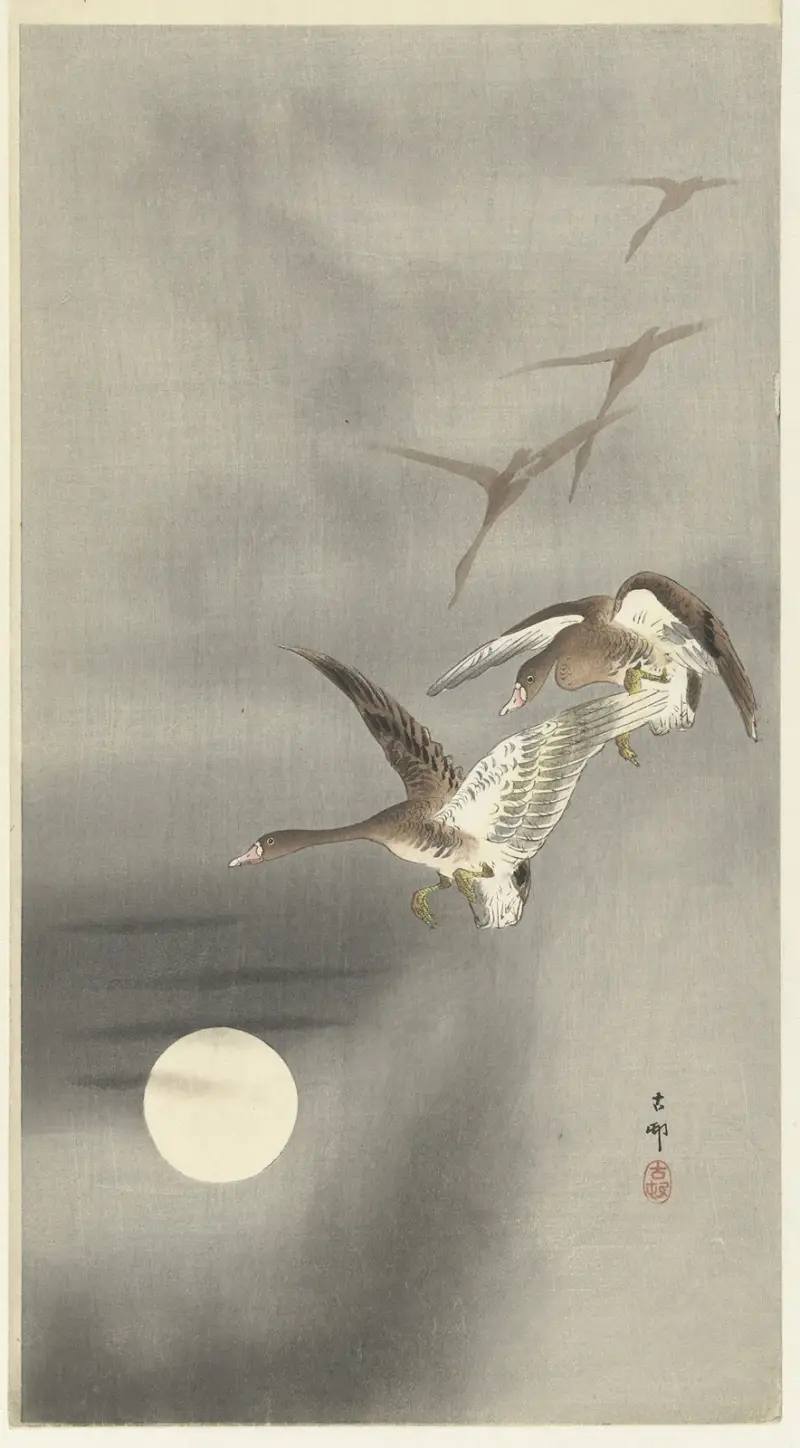 Letící husy, 1900, Ohara Koson