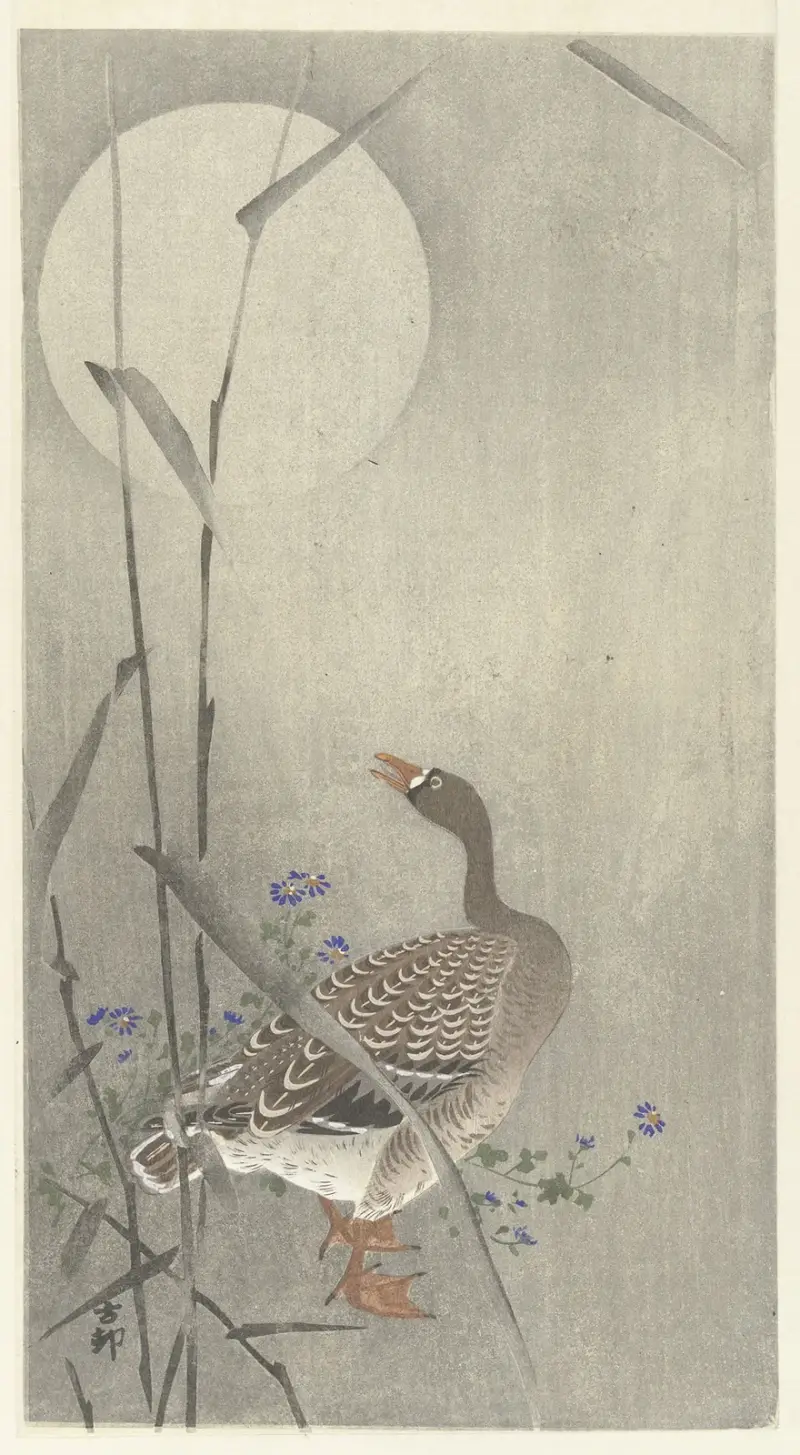 Husa při úplňku, 1900 – č. 1, Ohara Koson