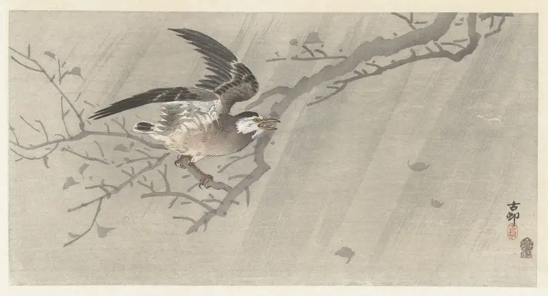 Špaček šedý v bouři, Ohara Koson