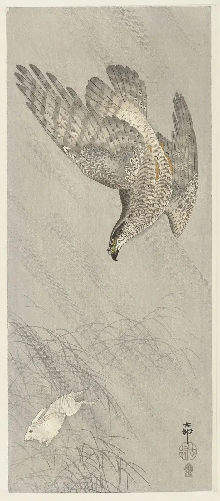Jestřáb lovící zajíce, Ohara Koson