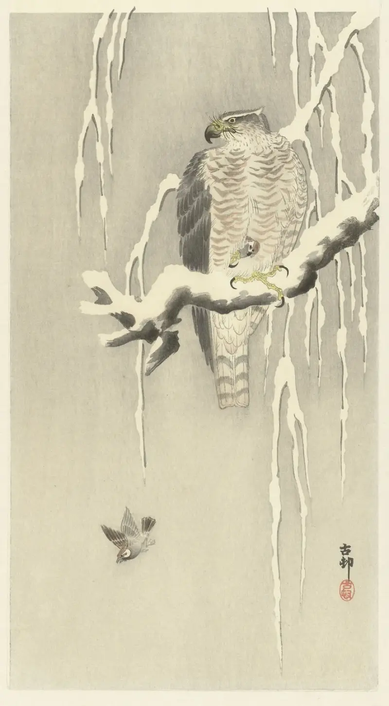 Jestřáb s uloveným vrabcem, Ohara Koson