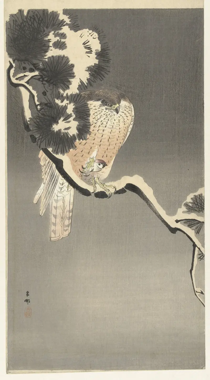Jestřáb s vrabcem, Ohara Koson