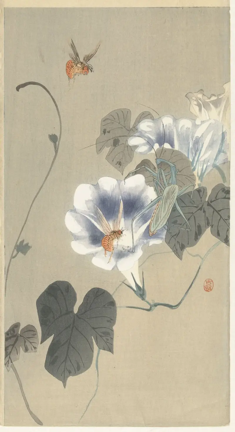 Hmyz u svlačce, Ohara Koson