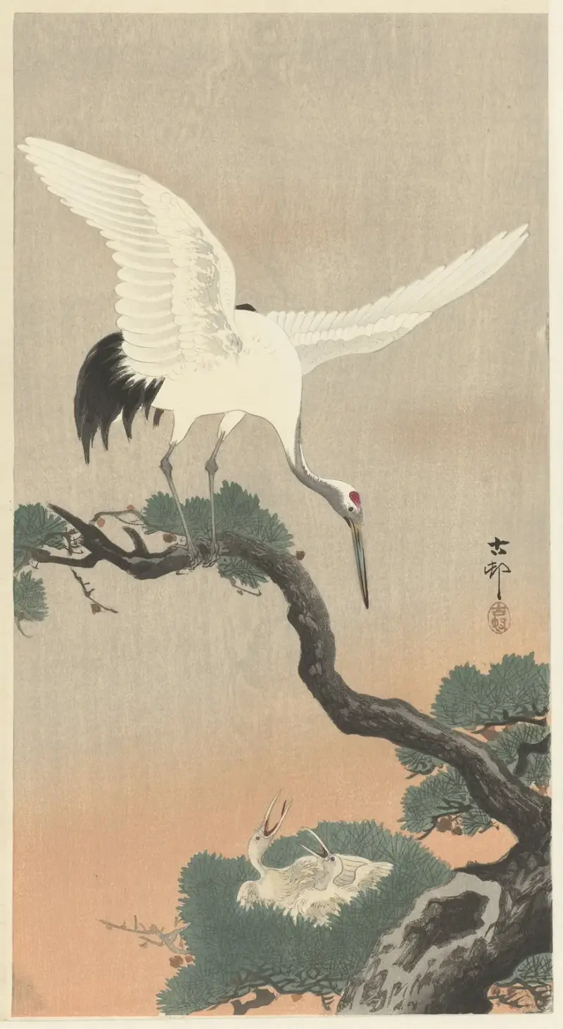 Japanese common crane on branch of pine av Ohara Koson