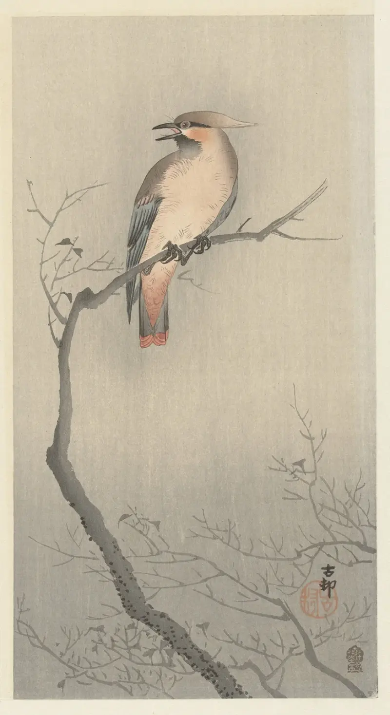 Japonský brkoslav na větvi, Ohara Koson