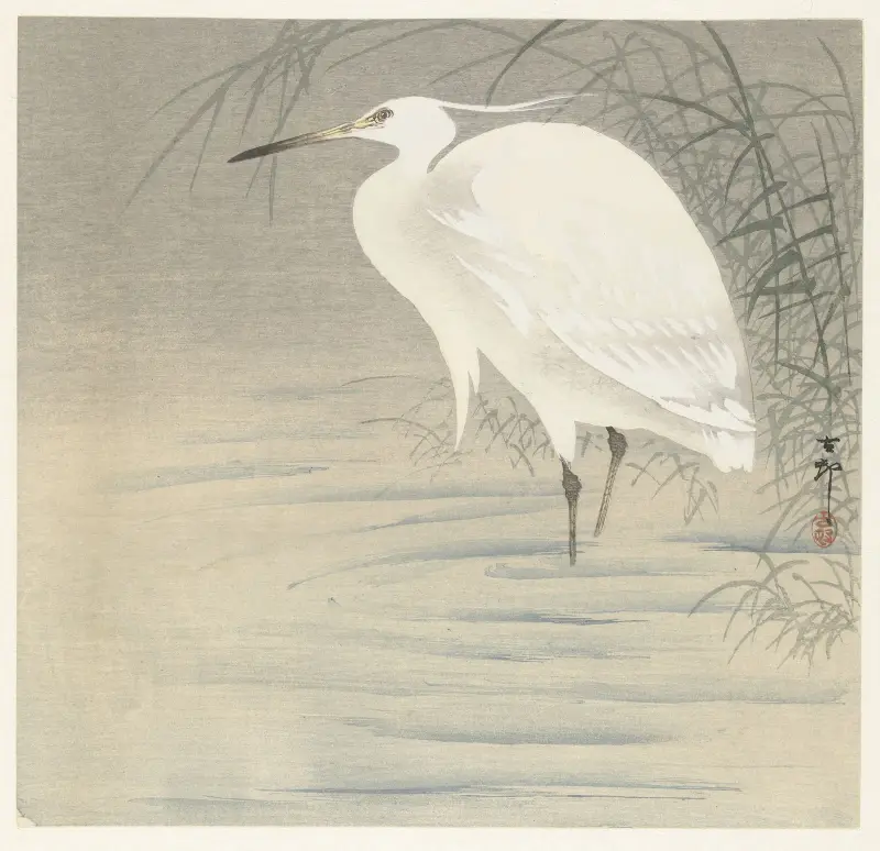 Malá volavka, Ohara Koson
